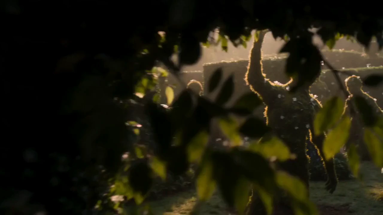 Cinematic eerie garden sequence filled with humanoid living statues made