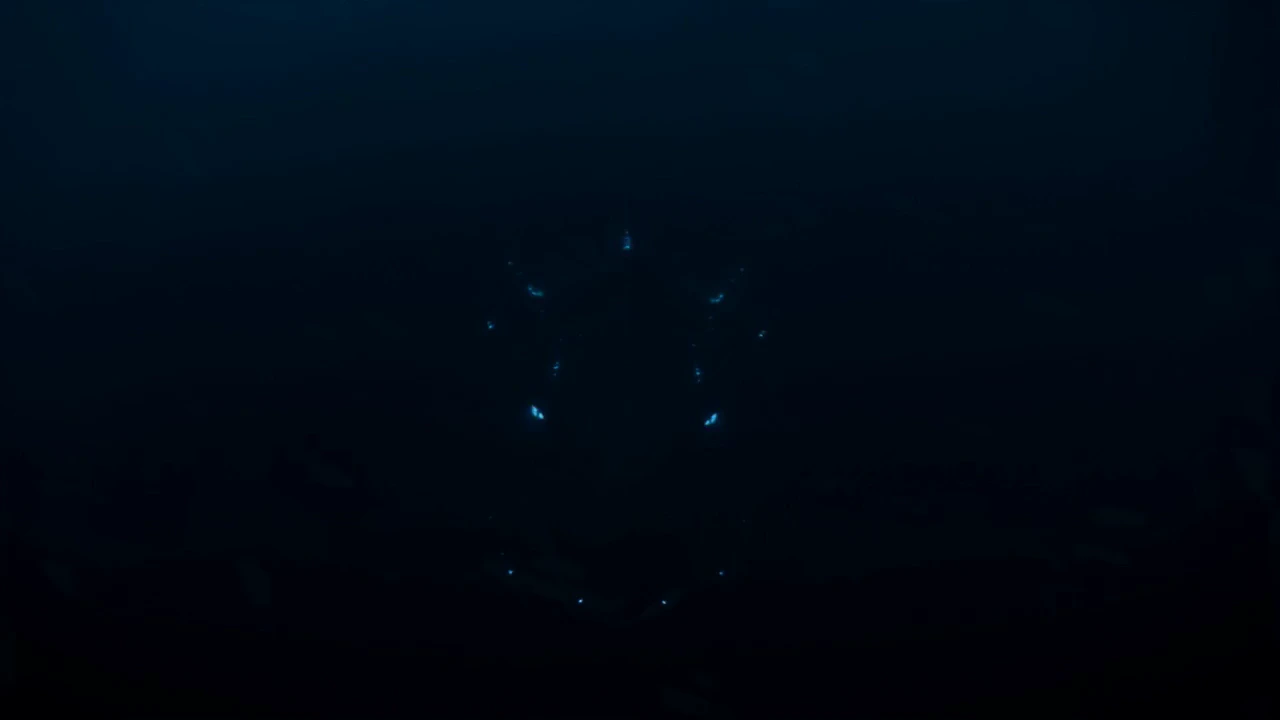 [0-3s] Ocean surface at night.